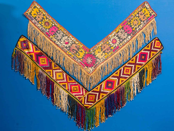 Floral Embroidered Saye Gosha from Afghanistan