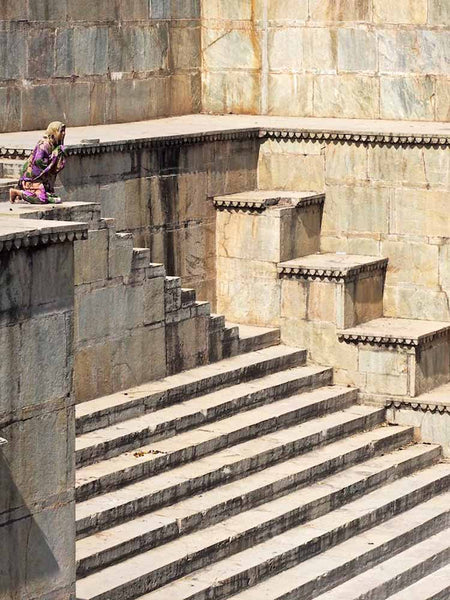 Roaring Tiger Stepwell in Rajasthan 1