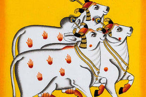 The Painted Cows of Rajasthan