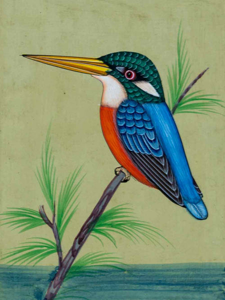 Fine Indian Miniature Painting of a Kingfisher