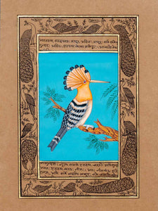 Indian Miniature Painting of a Hoopoe