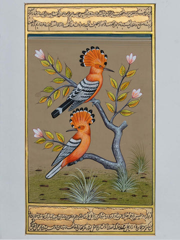 Indian Painting of Two Hoopoo Birds