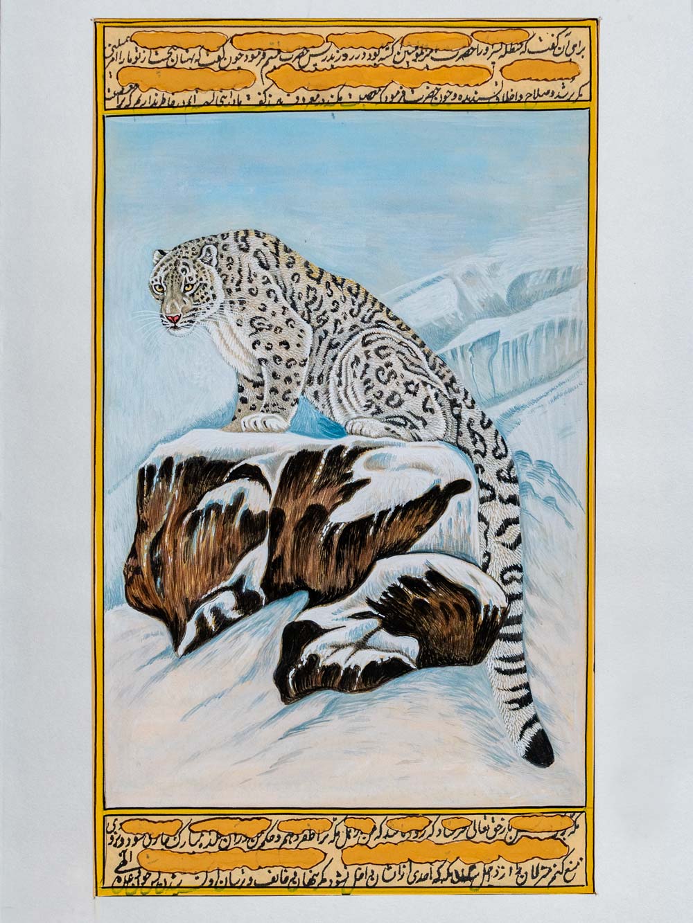 Indian Painting of a Snow Leopard