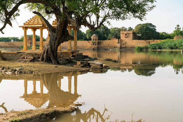 Historic temple complex with a large tree and pond reflection