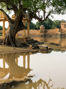 Historic temple complex with a large tree by a lake