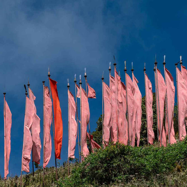 Prayer Flags in Bhutan greeting card