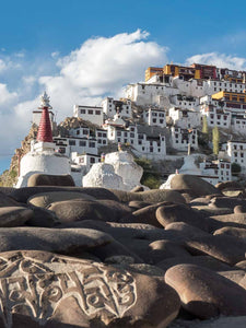 Photo of Thikse monastery