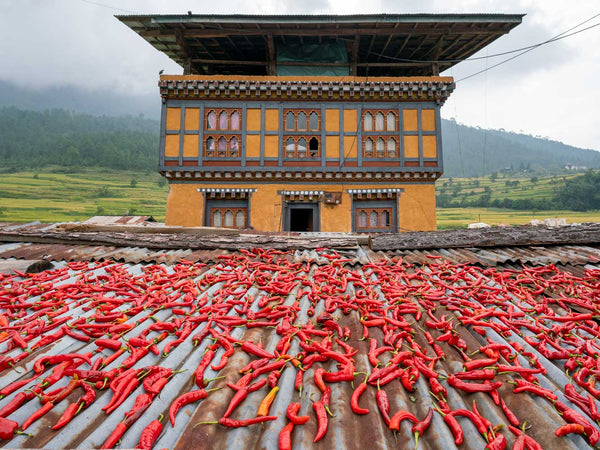 Photo of House with Drying Chillies, Bhutan