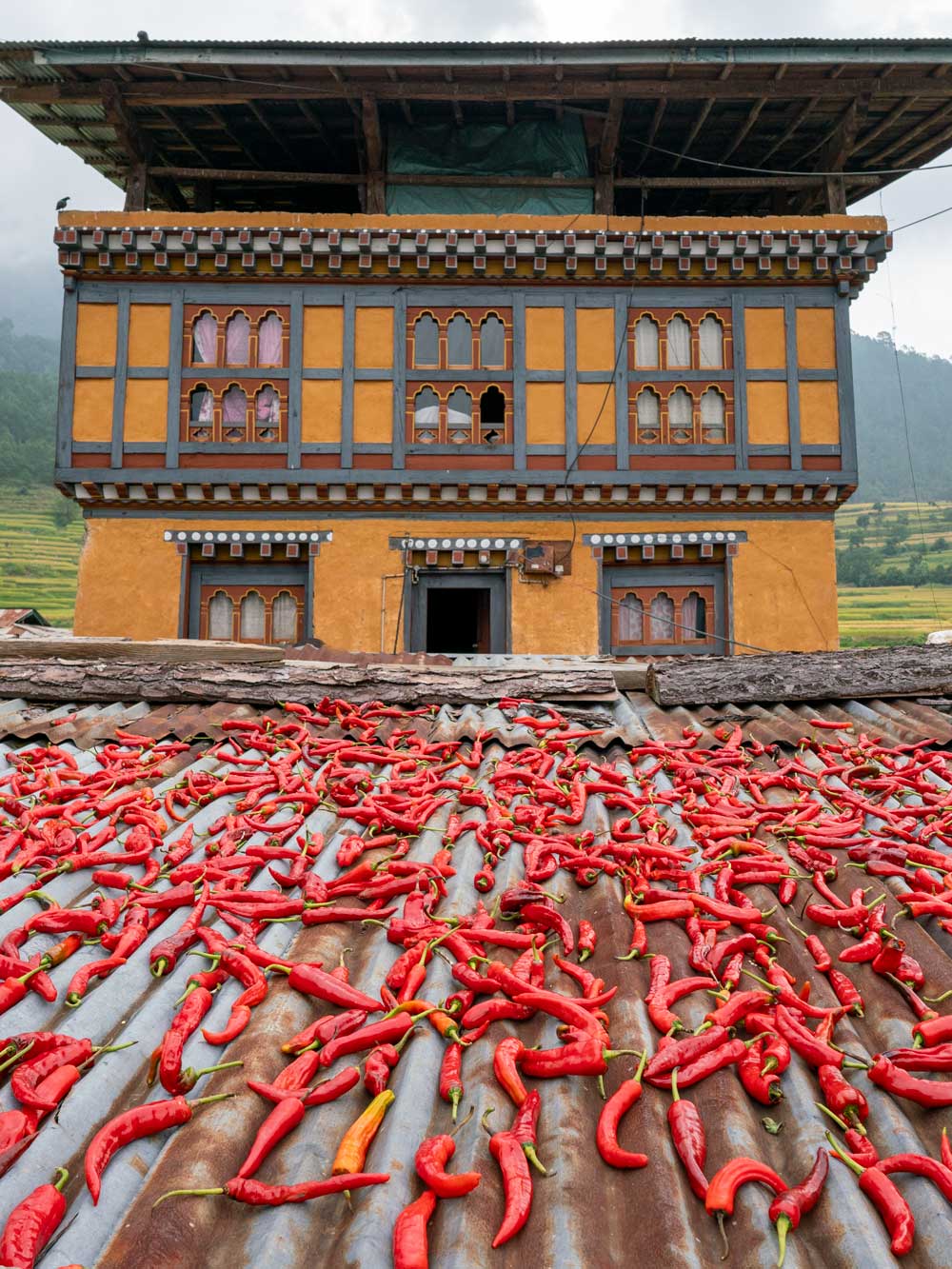 Photo of House with Drying Chillies, Bhutan