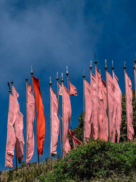 Prayer Flags in Bhutan greeting card