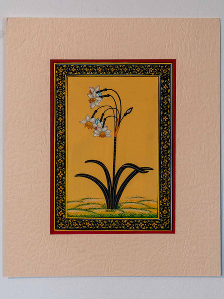 Indian Miniature Painting of Daffodils