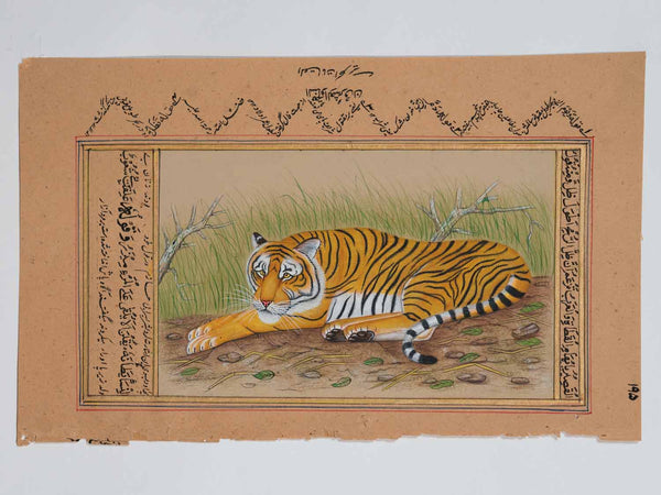 Fine Indian Miniature Painting of a Tiger