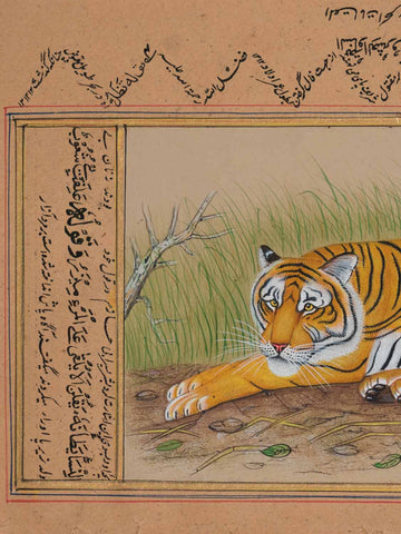 Fine Indian Miniature Painting of a Tiger