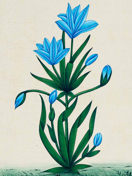 Indian Miniature Painting of Tall Blue Flowers 