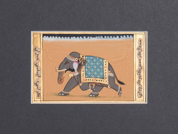 Indian Miniature Painting of a White Elephant