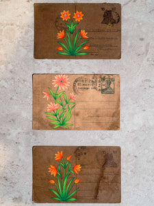 Indian Miniature Paintings on Postcards of Red Flowers