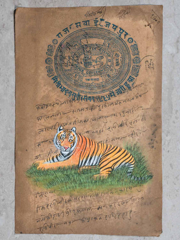 Miniature Painting of a Tiger Laying in Grass
