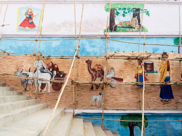 Painted Tiger at Bani das ki Bawari Stepwell at Dausa, Rajasthan
