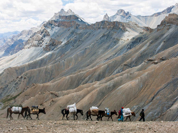 Ponies Descending from the Zarlung Karpo La, Ladakh 1
