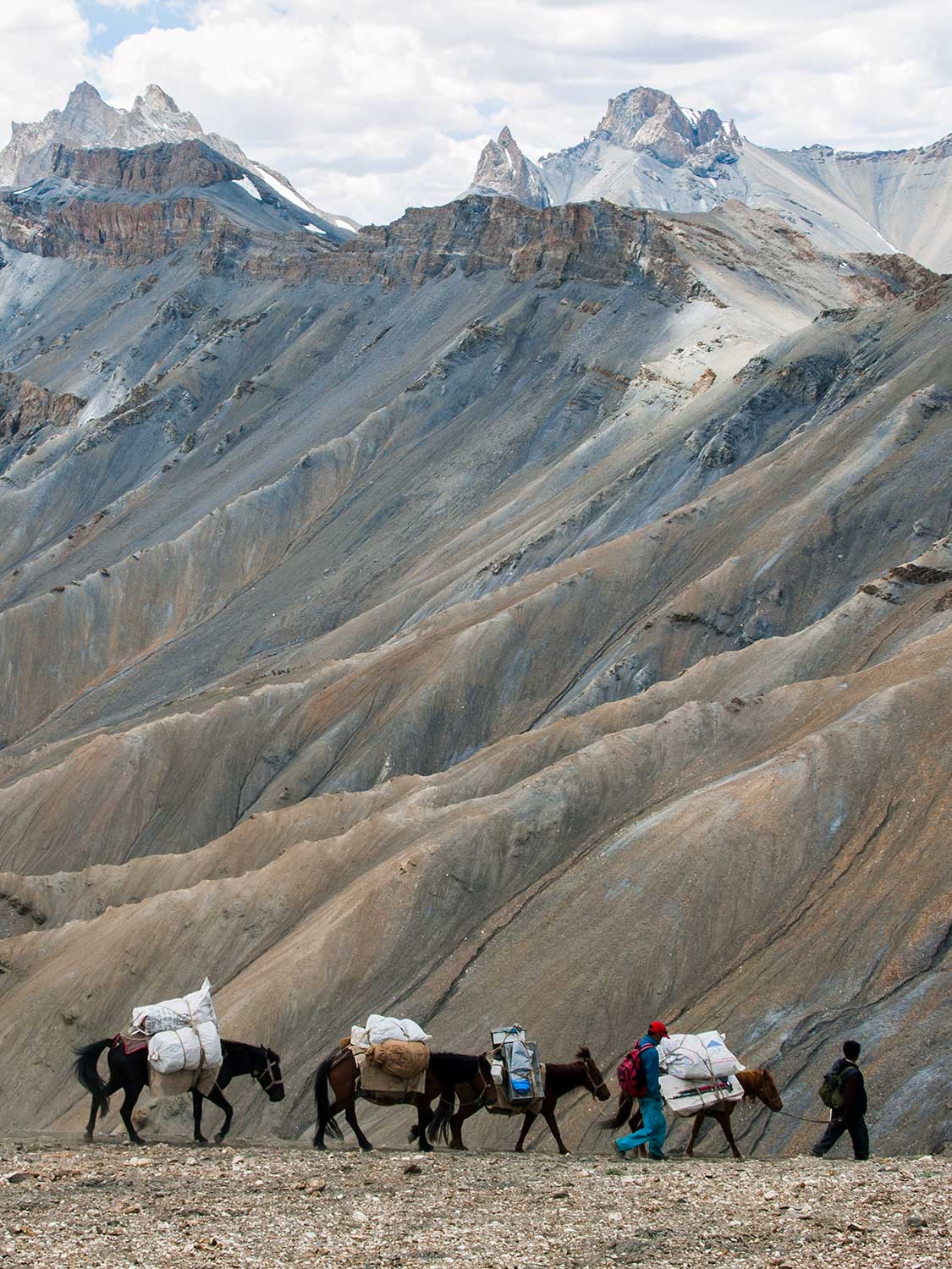 Ponies Descending from the Zarlung Karpo La, Ladakh