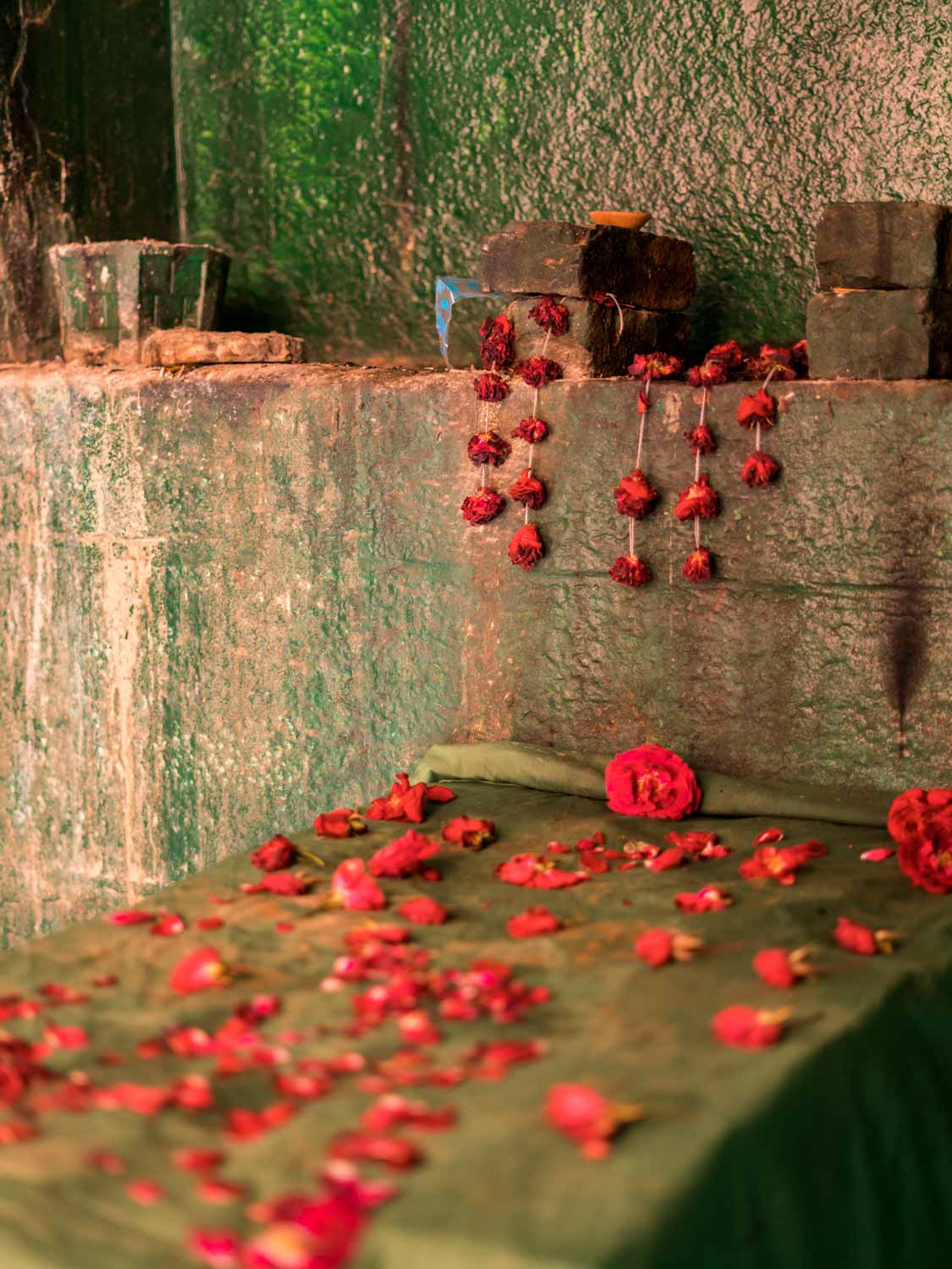 Red roses & Green cloth, Octagonal Stepwell 