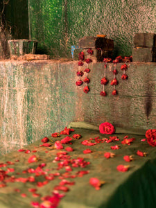 Red roses & Green cloth, Octagonal Stepwell 